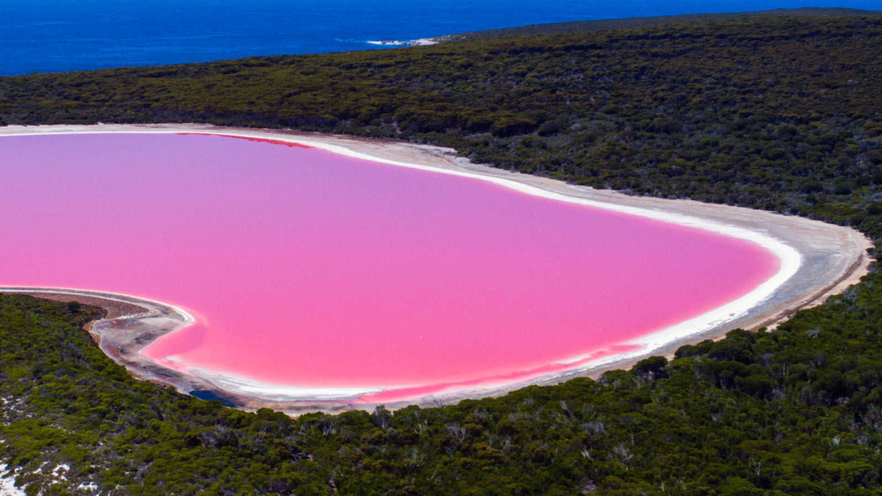 The Rise of Pink Hydrogen: A Billion-Dollar Plan for a Clean Energy Revolution