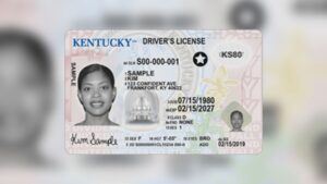 Kentucky's House Bill 518 would move driver's license issuance back to local circuit court clerks 19 License