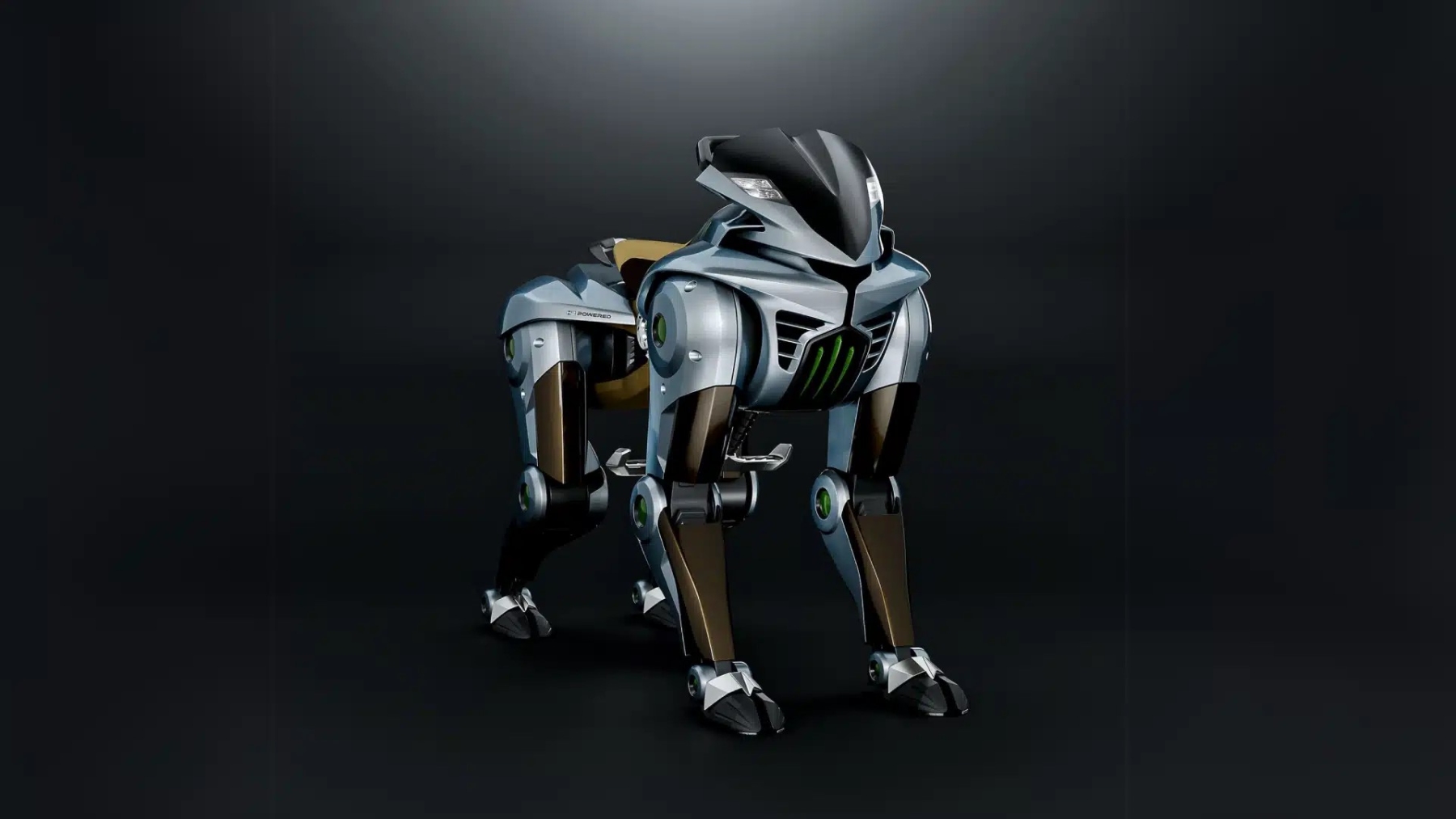Meet Japan's new robot