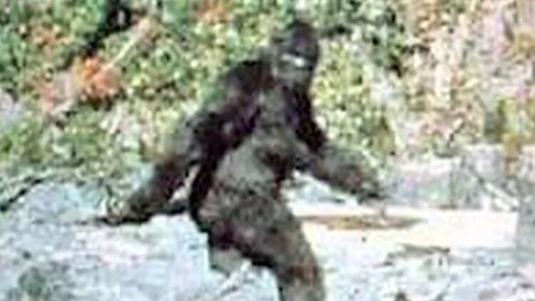 Bigfoot mystery solved with DNA testing: It did exist, and it was this