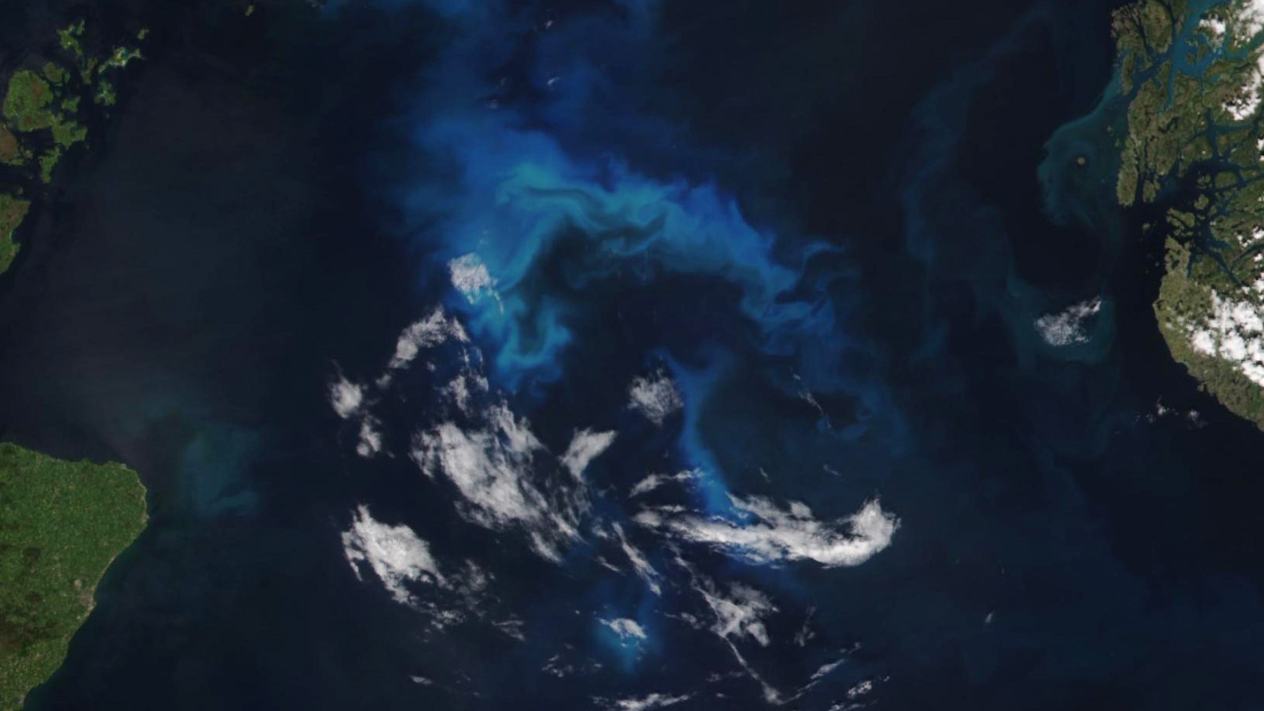 Unveiling the Potential: Harnessing the Power of the North Sea for Energy Progress
