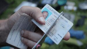 19 states let undocumented immigrants drive legally, but Florida already bans their out-of-state licenses and more states may follow 11 License revamp in these states