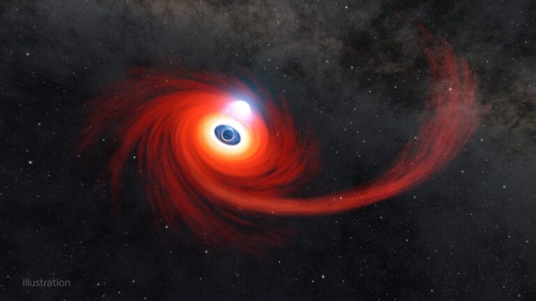 Stephen Hawking's theory