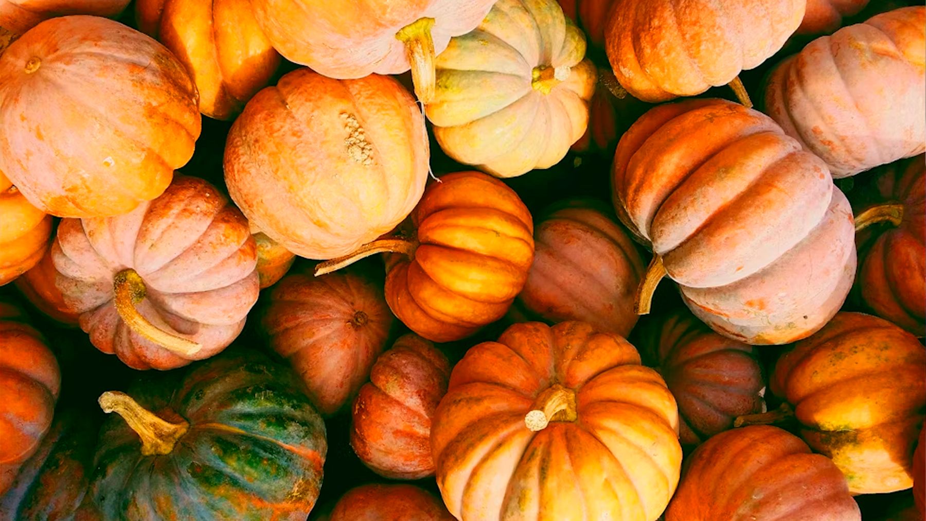 Pumpinks benefits