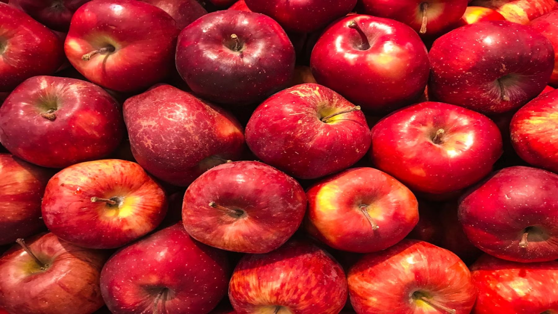 apples winter