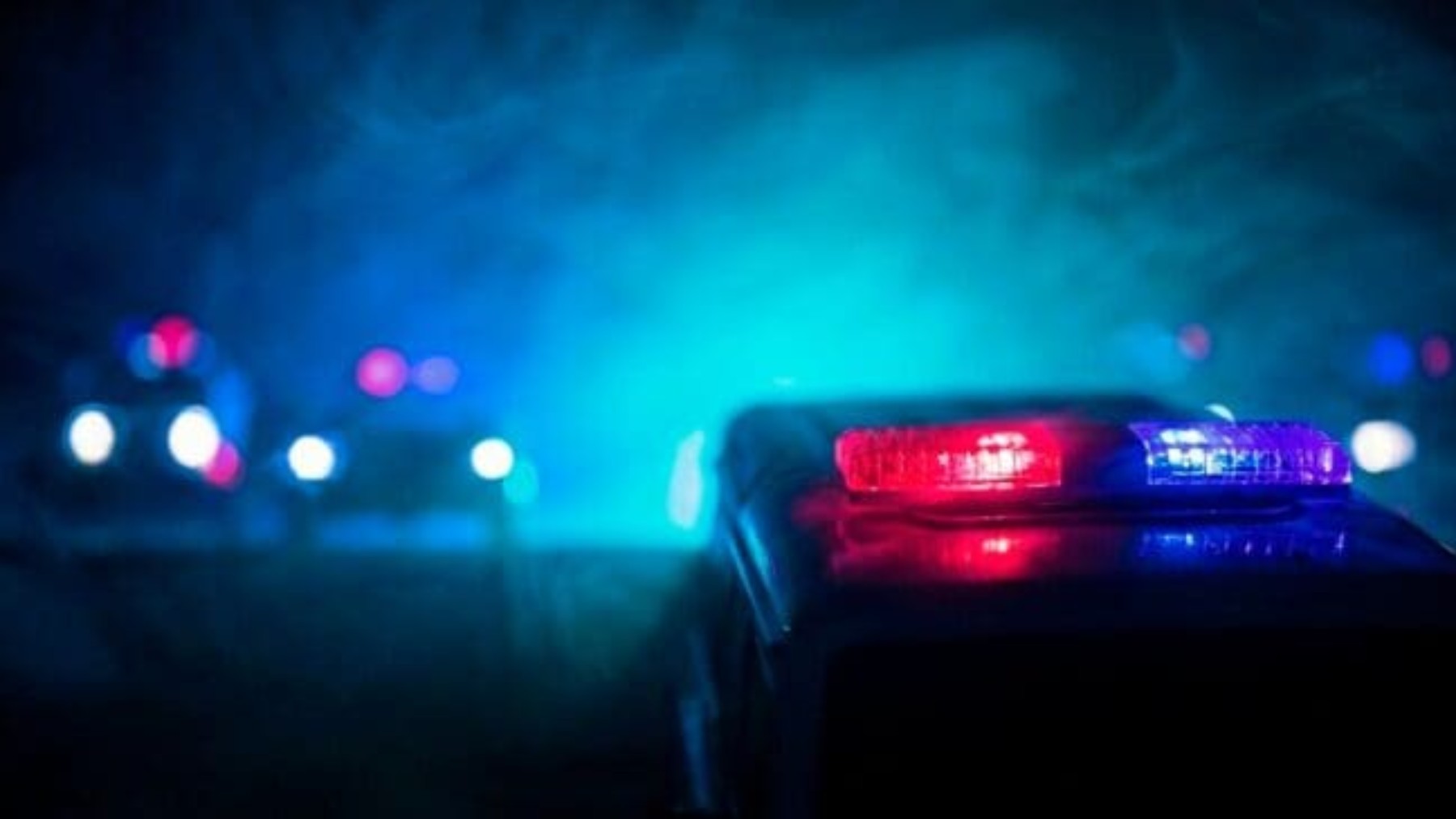 Hands-free law enters final warning period month