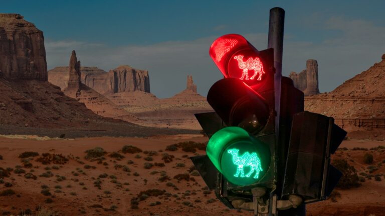 China unveils bizarre traffic lights for camels