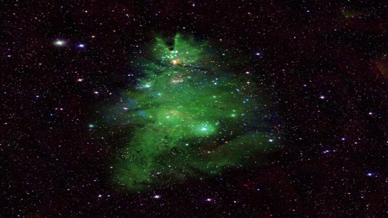 NASA images cosmic Christmas Tree nebula