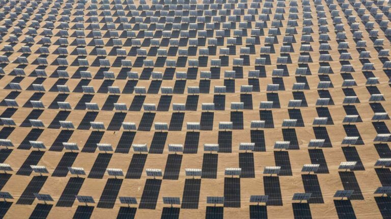 Solar plant generating new life