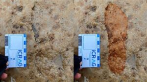 Dog walkers spot strange markings on a Scottish beach as winter storms uncover 2,000-year-old footprints beneath the sand 3 Footprints