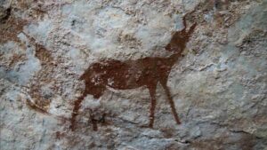 Humans didn’t always live on meat or vegetables — A new study reveals our ancestors ate far stranger foods 37 Humans ate starch long before we knew