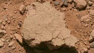 We've always believed humans were born in Africa — Now archaeologists have found a new clue 5,060 miles away 38 Africa humans migratory patterns