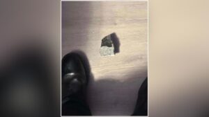 What this Texas family experienced after a 35,000 mph object fell from the sky is something they will never forget 45 Asteroid houston family