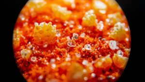 Microplastics you swallow every day may reach your brain through five newly mapped routes, each one tied to Alzheimer's or Parkinson's 35 microplastics alzheimer