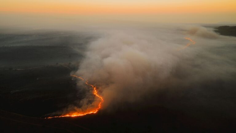 tropical peatland fires