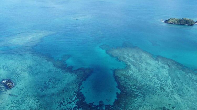 Island made of shells in Fiji