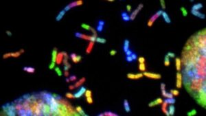 Experts investigating the origin of life believe we may be the result of a rare ‘chemical lottery' 11 Origin of life explained by science