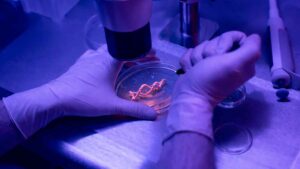 Scientists have discovered an ‘age counter’ in our DNA and now believe our aging process may have been miscalculated from the start 15 DNA 'age counter' discovered by study
