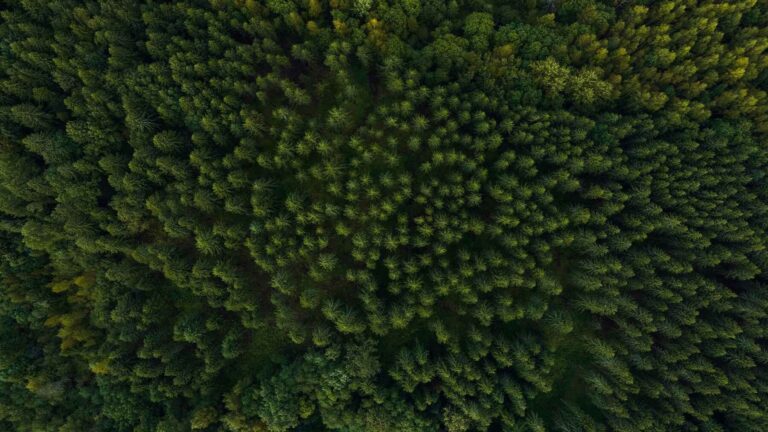 Reducing Co2 changes rainfall patterns