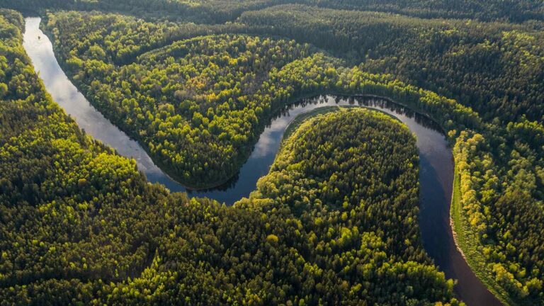 Biologists studying the Amazon realized that 86% of it remains ...