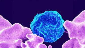 Scientists have discovered a calorie-burning switch in our bodies hidden within the outer layer of fat cells 17 Calorie-burning switch found in cells