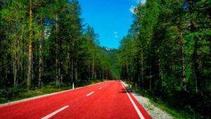After a road was painted red in India, wildlife began gathering around it, forming an unexpected ‘heat island' 25 Red road in India creates 'heat island'