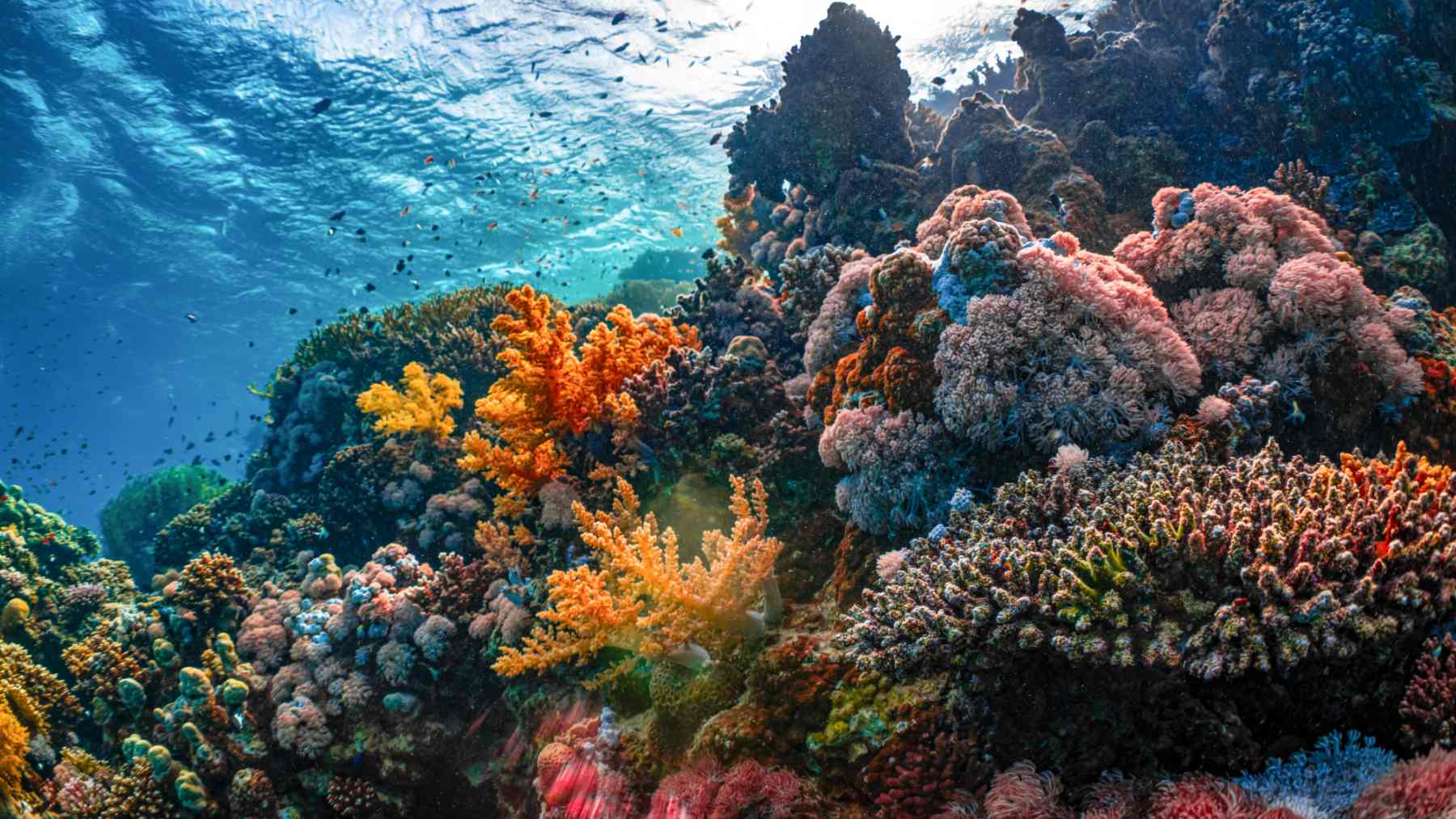 neom HYHYGLs Rp8 unsplash 2