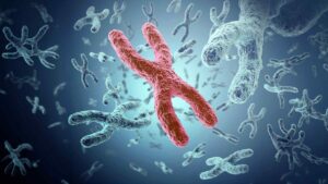 Researchers looked into human DNA and found evolution moving faster than expected, raising new fears about mutations we may not be able to control 48 Human DNA reveals new health threats