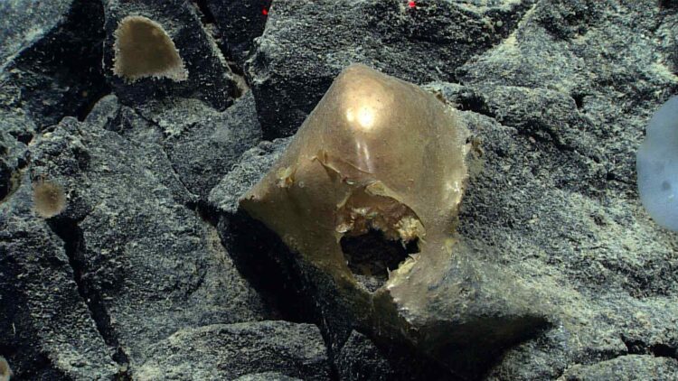 Golden sphere reveals hidden reality
