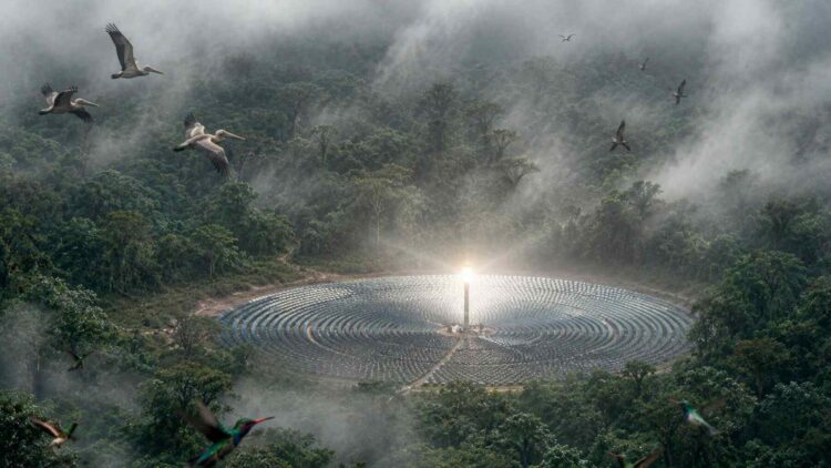 Hummingbirds, pelicans, and diving birds fly toward these solar panels looking for water, but instead they die, and more than 71 species have already been affected 1 Diving birds fly towards solar panels