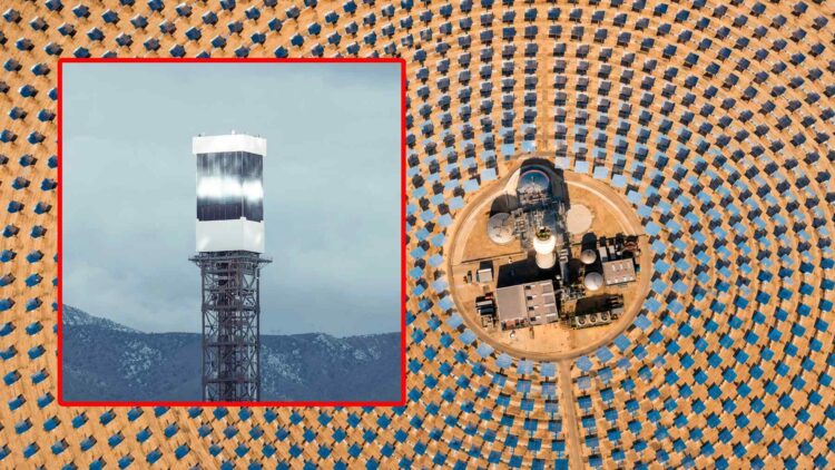 Birds incinerated at solar facility