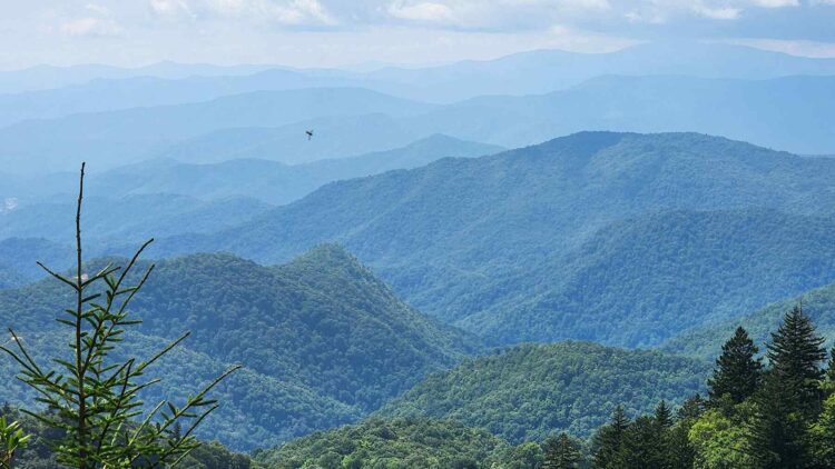 Appalachians