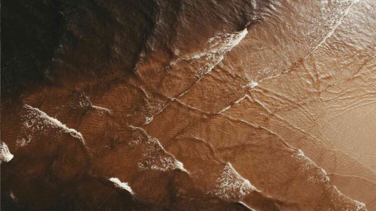 A 550-million-year-old fossil found along the Yangtze River may explain why Earth's earliest animals left almost no trace 1 Fossil