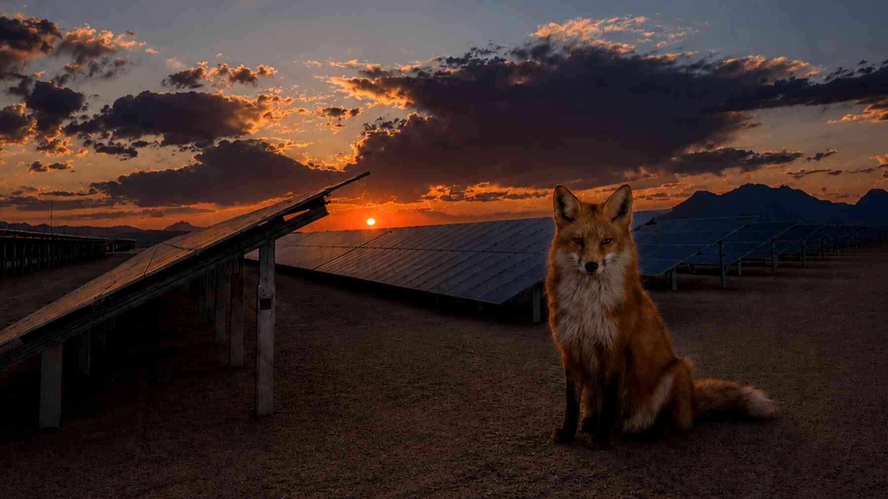 Solar