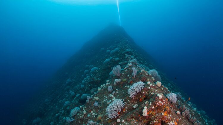 ancient volcanoes ocean floor rising from the deep-sea abyss with coral growth, discovered more than