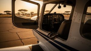 A pilot flying 4 passengers over South Africa felt something cold slide across his back mid flight, and what he found hiding under his seat is a danger almost no flight check ever looks for 26 a light aircraft on a South African airfield where a cobra cockpit emergency landing occurred, pilot flying 4