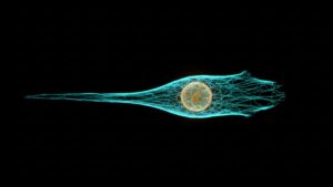 Scientists at a New York lab watched a childhood cancer cell do something it was never supposed to do, and the transformation they documented opens a new front in how doctors might fight this disease 4 childhood cancer cells transforming into healthy muscle cells under microscopy light, new york lab