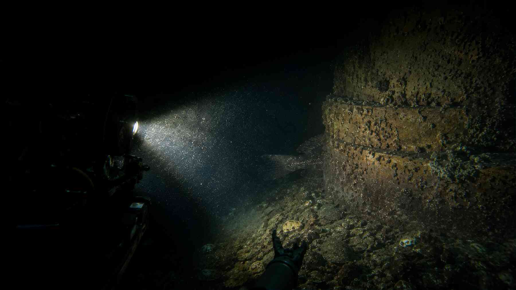 A robot descended beneath a floating wind farm and found a prehistoric-looking deep-sea fish building its own “reef” beside the turbine towers 1 Wind