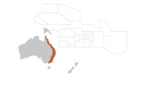 Scientists put 258 spider species through a speed test, and a hand-sized Australian huntsman outran them all at nearly 8 mph 2 24. GES INT IMAGE Scientists put 258 spider species through a speed test and a handsized Australian huntsman outran them all at nearly 8 mph