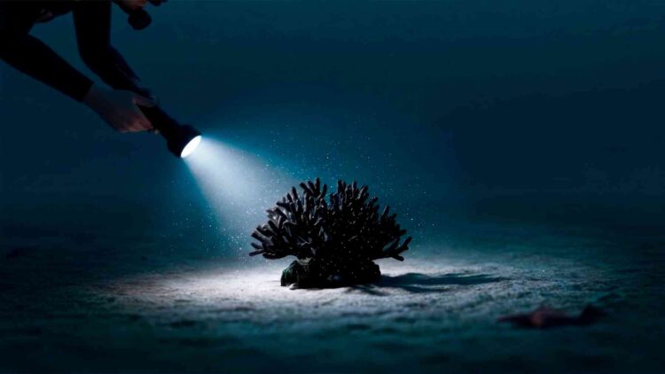 deep-sea discovery