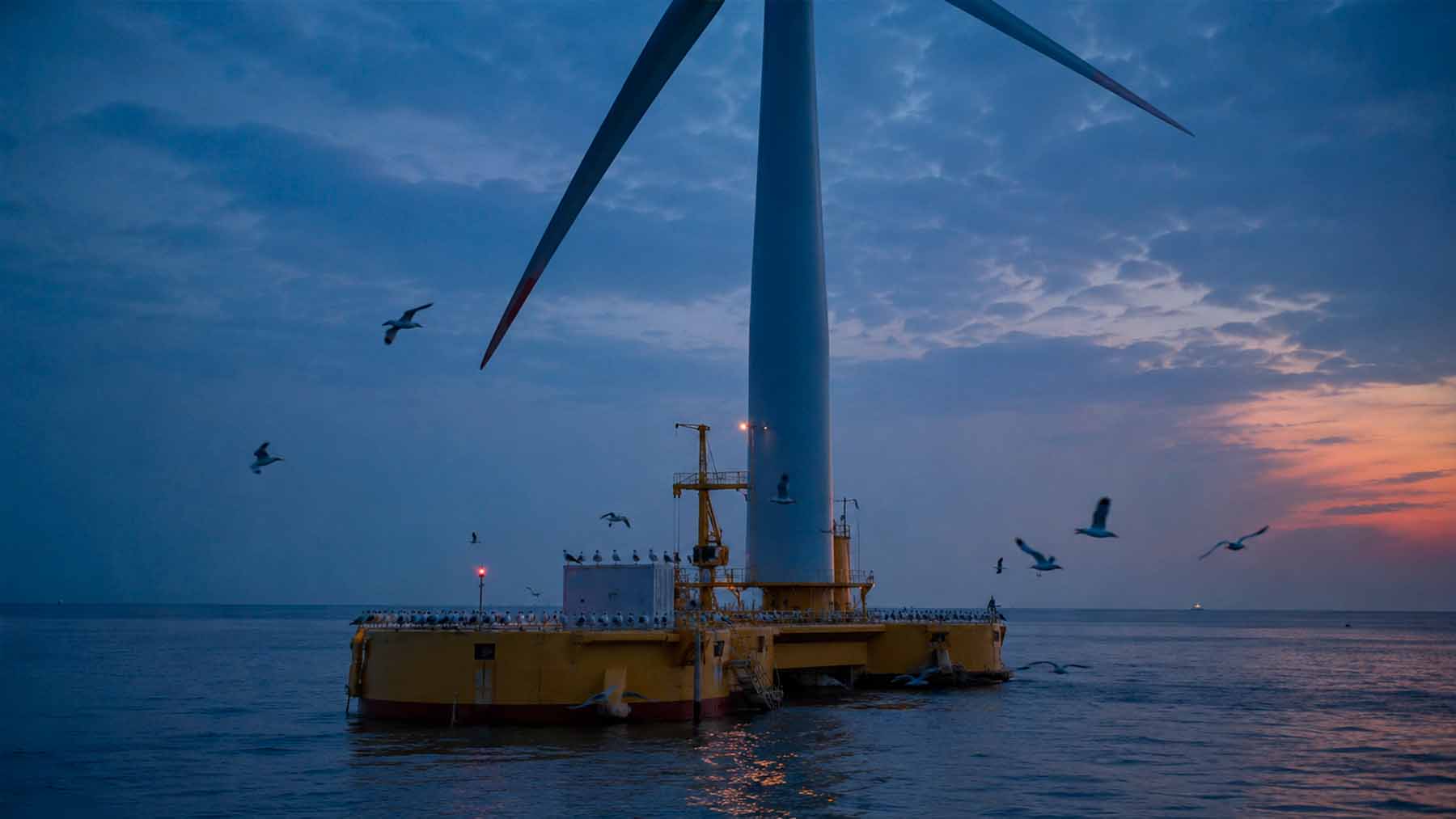Cameras took nearly 30,000 pictures of one floating wind turbine off France and found gulls using the platform as a daytime bench before turning it into a dormitory every night 1 Wind
