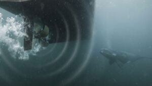 A low 150 hertz drone was wearing down the right whales, until a boat, sniffer dogs, and a pile of scat finally traced it to passing ships 37 Ship noise droning through the water toward North Atlantic right whales