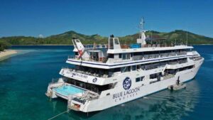 With about 6,100 gallons of fuel pumped off the hull over several days, a small cruise ship grounded on a Fijian reef was retired when a tropical cyclone ruled out refloating 22 Fuel hose and pump beside cruise ship hard on Monuriki reef grounding site, about 6 100