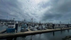 A magnitude 8.8 quake off Kamchatka sent a tsunami across the Pacific, and a tide gauge in a small far northern California harbor logged the largest reading on the entire US continental coast for that event 39 Crescent City harbor dock surging with tsunami wave water at night, magnitude 8 8