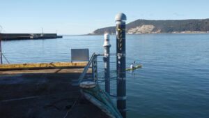 A 32 minute head start on a Pacific tsunami came from no buoy and no seafloor sensor, and what caught it first was a wobble in satellite signals crossing the upper atmosphere 29 GNSS antenna at a coastal tide gauge station used for GPS tsunami warning, satellite navigation network
