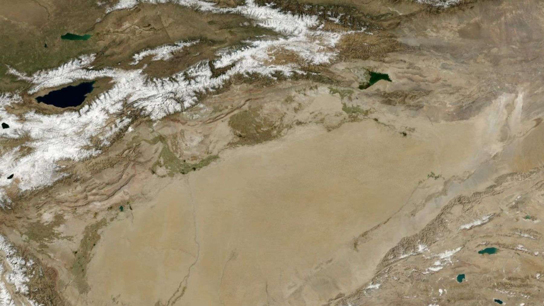 3D seismic scans and machine learning traced hidden branches through five major faults beneath China’s Tarim Basin