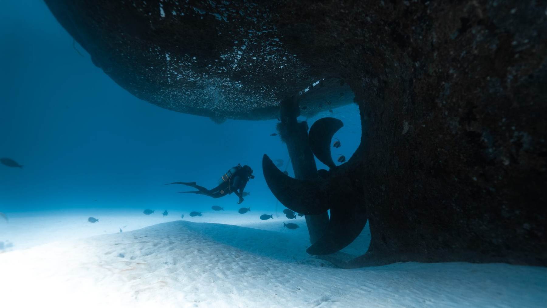 Divers righting the flipped tuna freighter hull with ropes and lift bags underwater, tuna freighter flipped