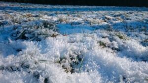 Iowa storm produced 4.5-inch hail that damaged windows and flattened corn near Prairieburg 18 softball-sized hail