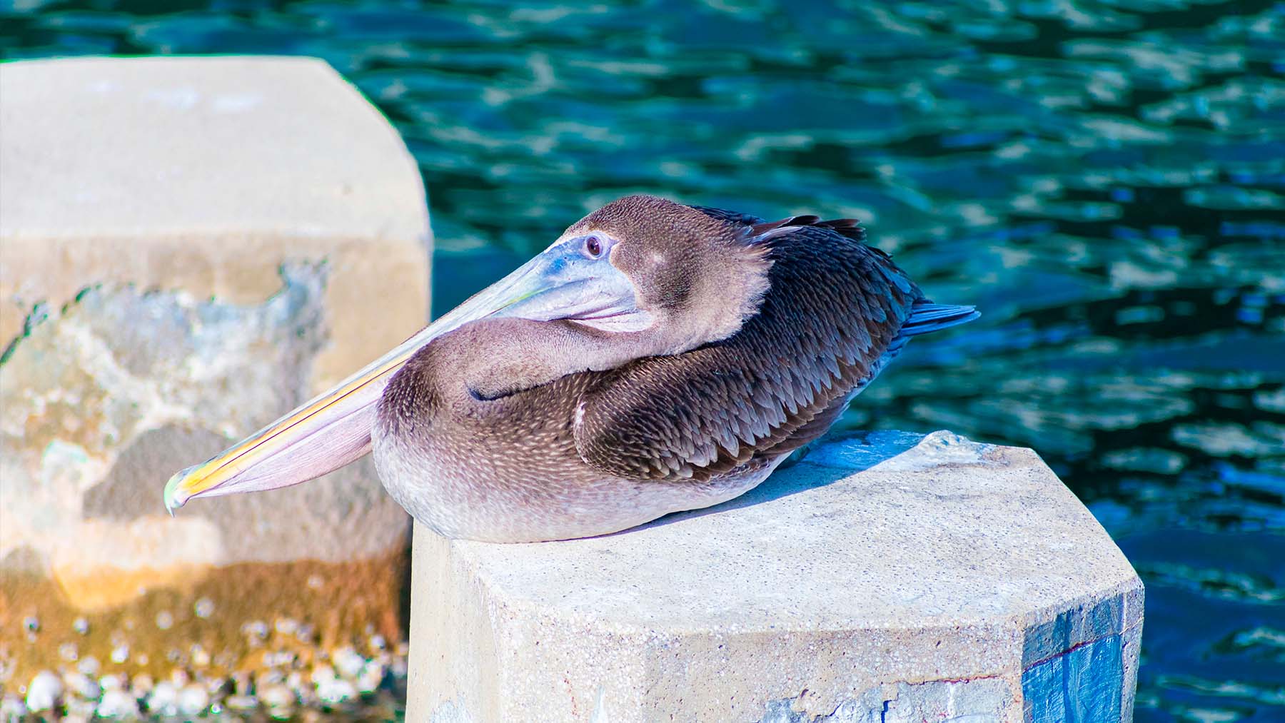 Florida