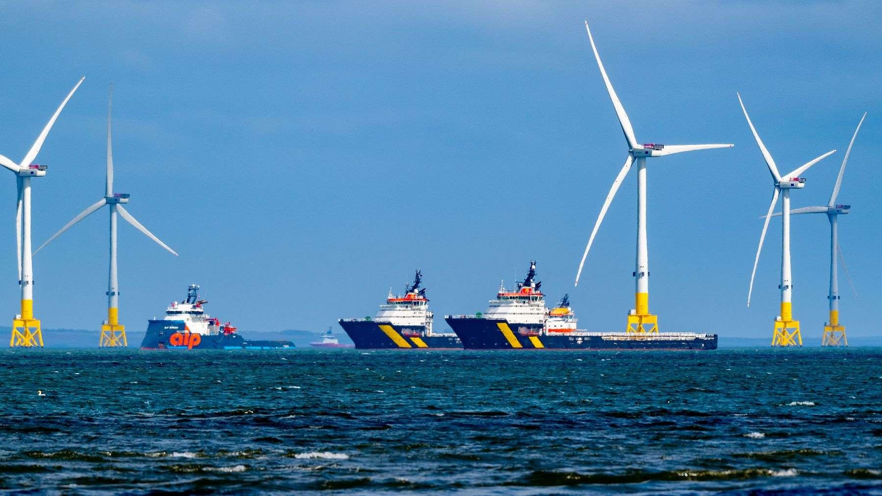 Cameras recorded 2,007 seabird flight paths over 19 months at Aberdeen wind farm, with no strikes detected at monitored turbine
